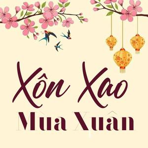 Cờ lê lực điện tử Novotork (30 - 300 N.m) 3/4